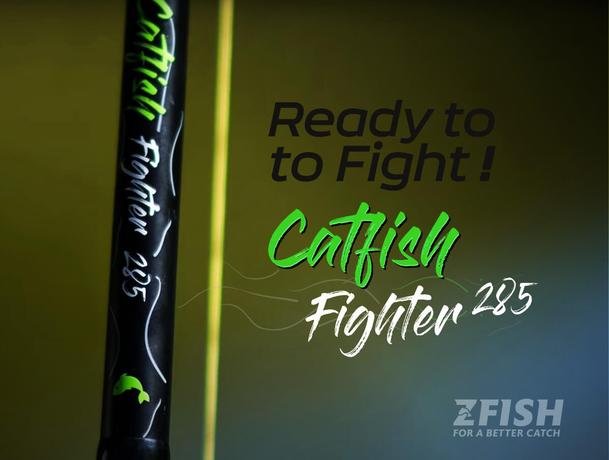 ZFISH šamų meškerė Catfish Fighter 2,85m 100-300g