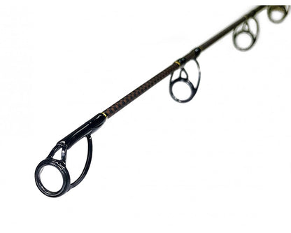 Šaminė meškerė Zfish Rod Catfish Morga 2,70m/100-400g