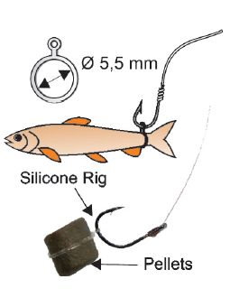 Masalo fiksatoriai Extra Carp Bait Elastic Bands  5,5mm – 18vnt