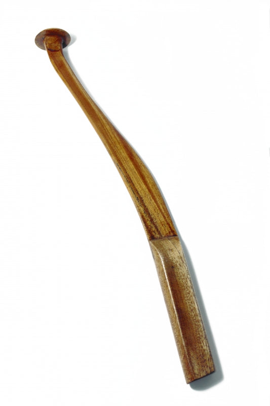 Zfish šamų klonkas
