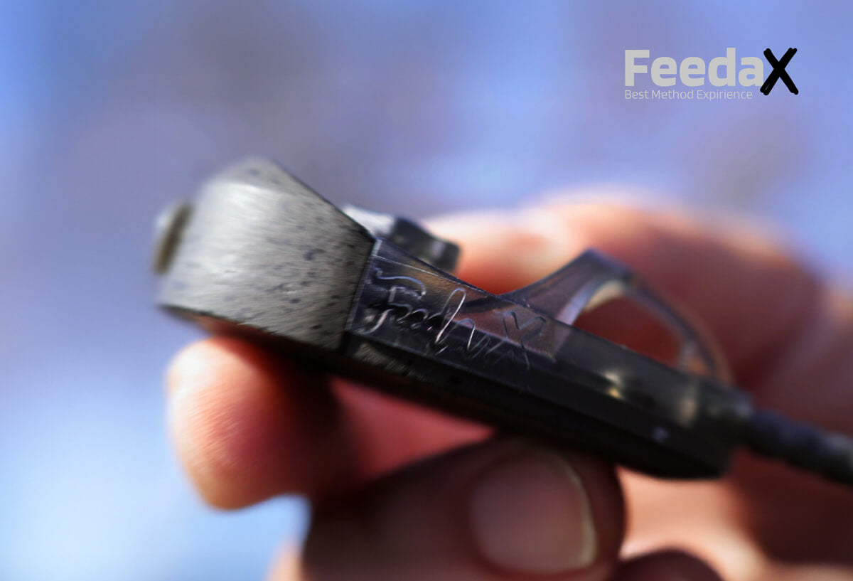 ZFISH method fideris Feeda X