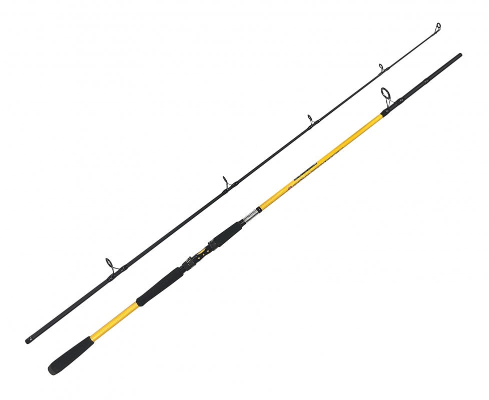 Spiningas ZFISH KODIAK 2,40M/100-250G